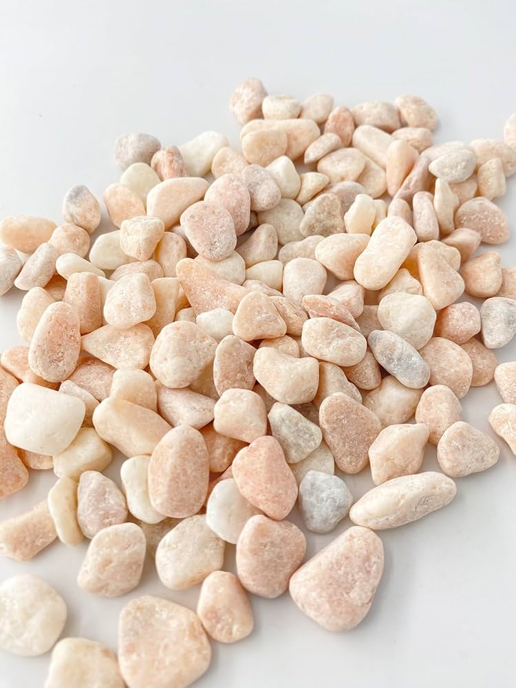 貝殻 砂・ソイル 1kg 貝殻 砂・ソイル 1kg